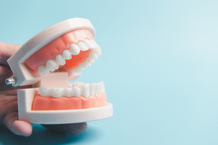 Hand hält Zahnfleischmodell auf blauem Hintergrund mit Kopierraum. Konzept der Gesundheits- und Schutzzähne.